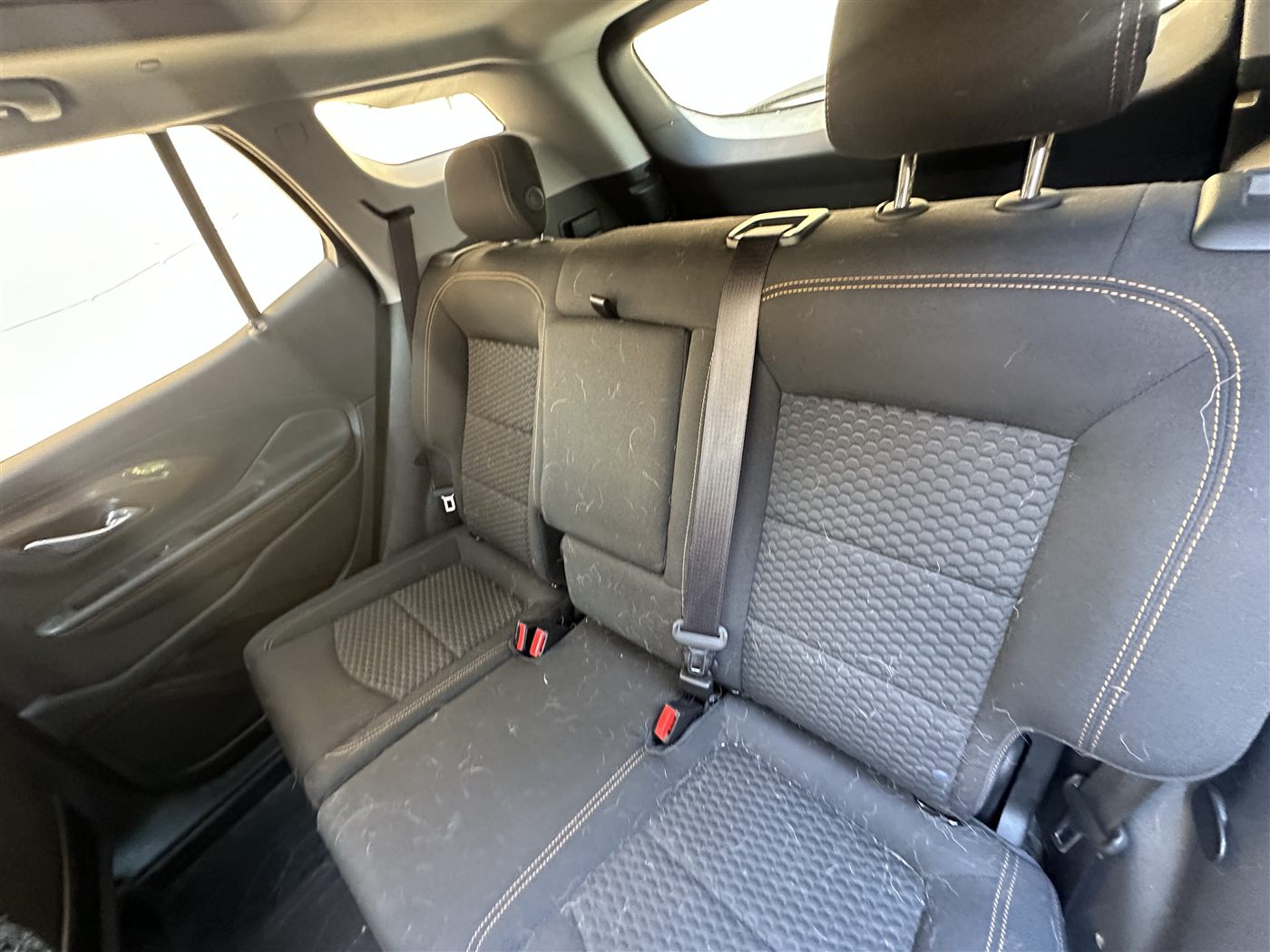 Rear bench interior before pet hair removal — heavy dog hair on fabric seats