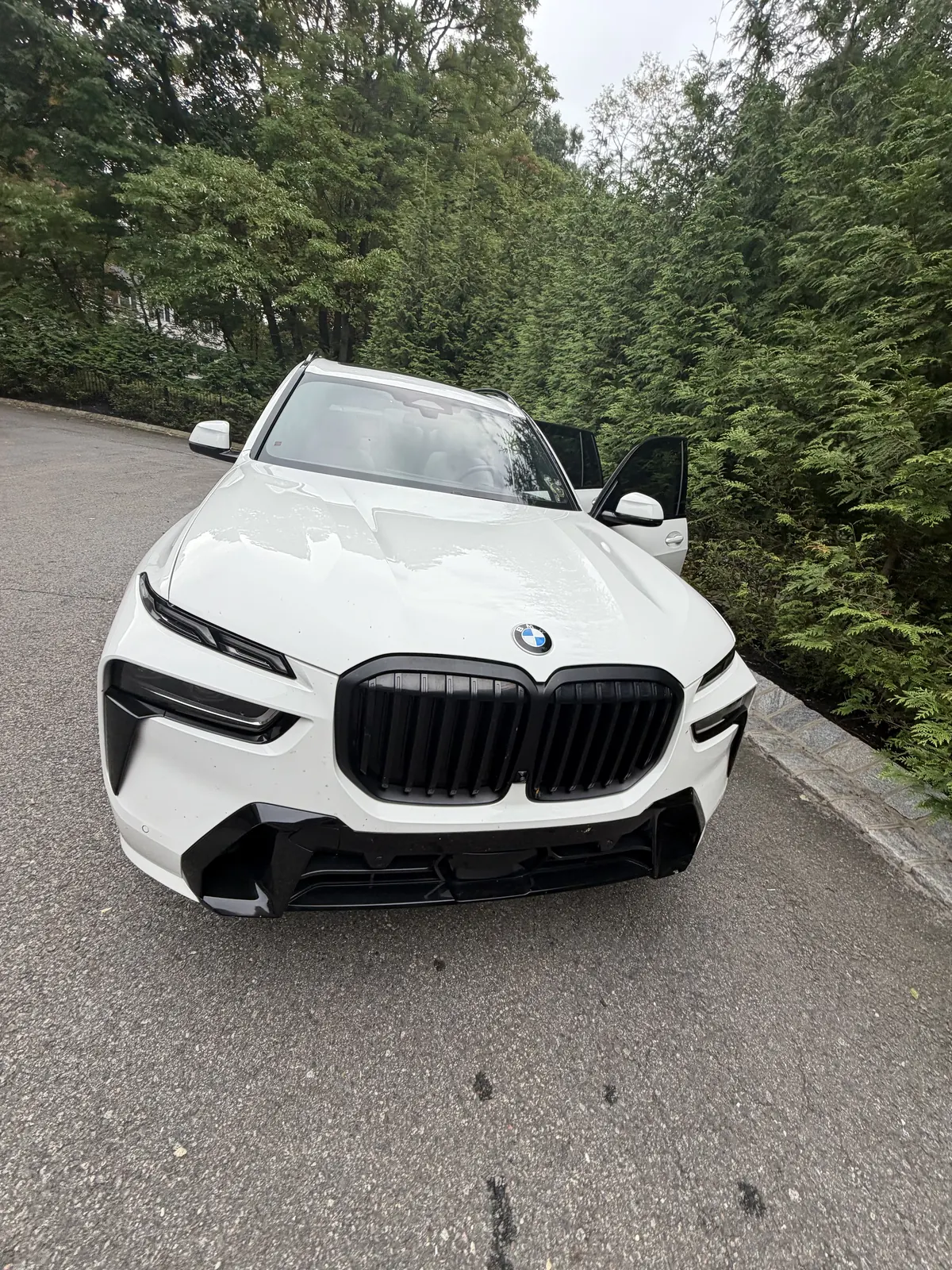 White BMW X7 front view beside a hedge